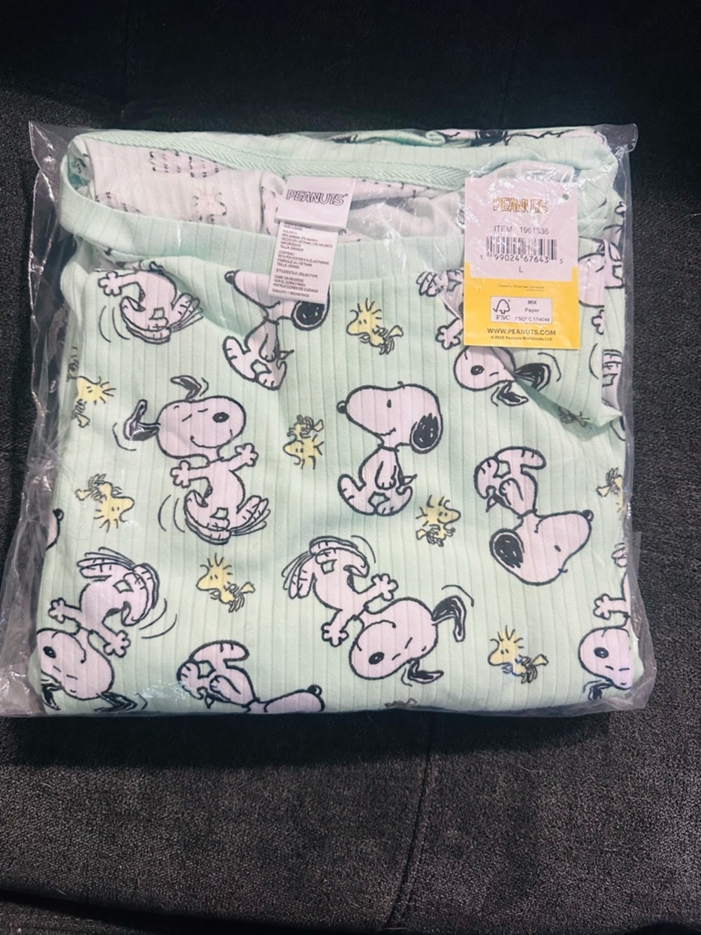 Peanuts Snoopy & Woodstock Mint Ribbed Pajama Set